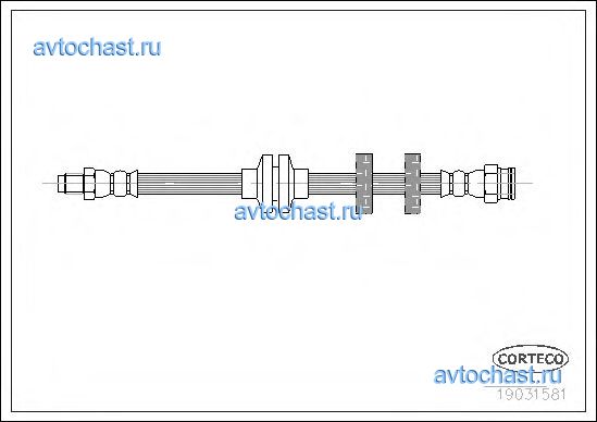 19031581 CORTECO 