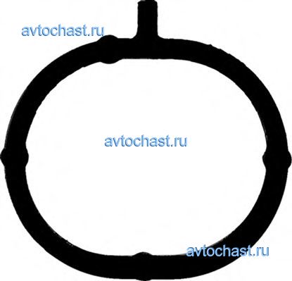 715416200 REINZ ����