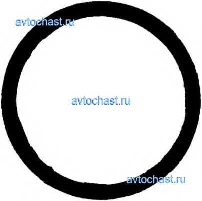 711017800 REINZ ФОТО