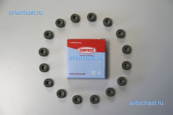 19036874 CORTECO ����