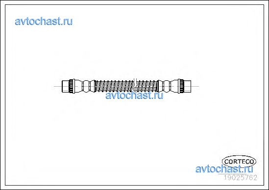 19025762 CORTECO 