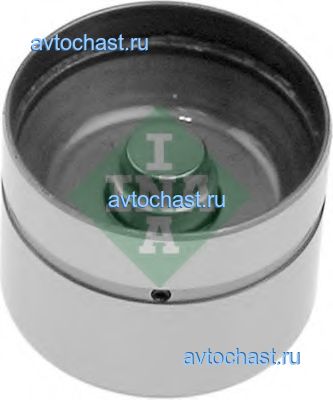 420004910 INA ����