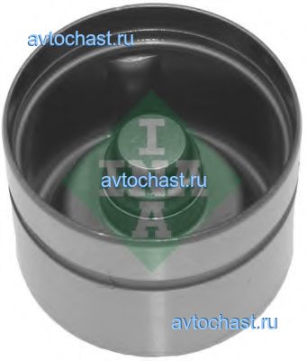 420017010 INA ����