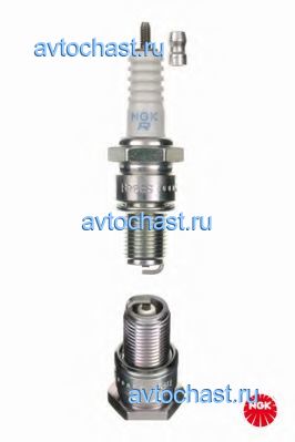 4922 NGK ����