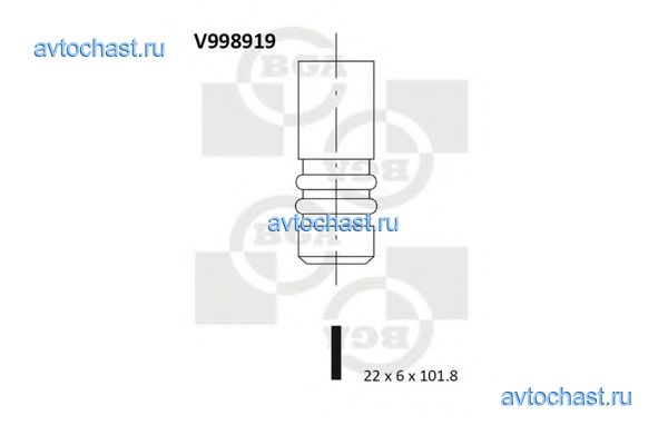 V998919 BGA ����