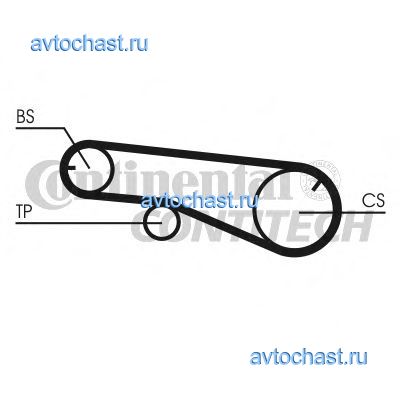 CT1141K1 CONTITECH 