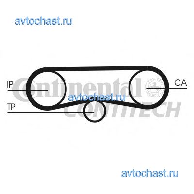 CT1018K1 CONTITECH 