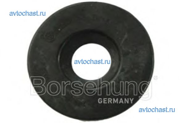 B11365 Borsehung 