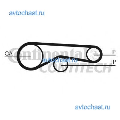 CT1118 CONTITECH 