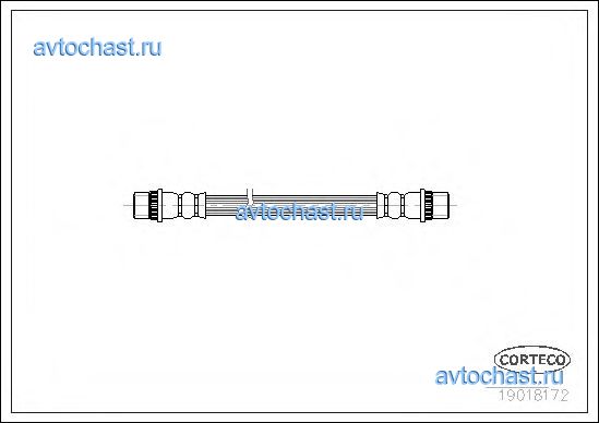 19018172 CORTECO 