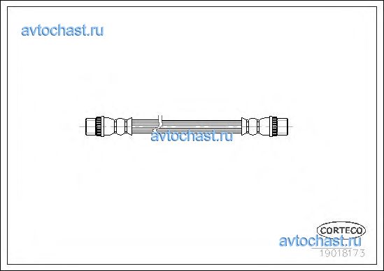 19018173 CORTECO 