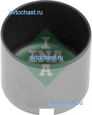 421004110 INA ����