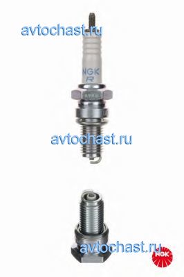 3123 NGK ����
