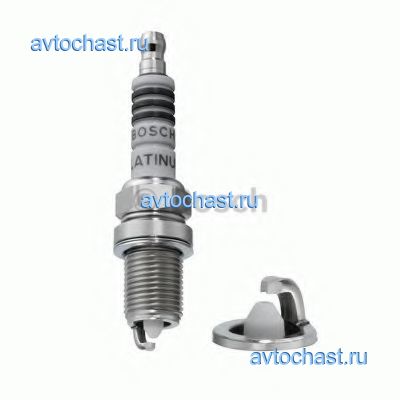 0242240530 BOSCH ����