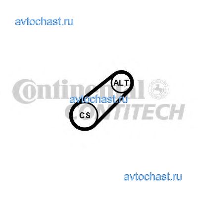 6PK701ELAST CONTITECH 