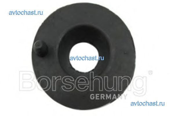 B11367 Borsehung ФОТО